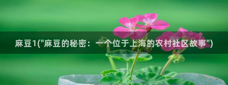 91麻豆专区：麻豆1(\