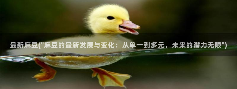 麻豆专区在线：最新麻豆(\