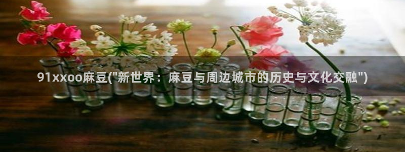 亚洲麻豆专区：91xxoo麻豆(\