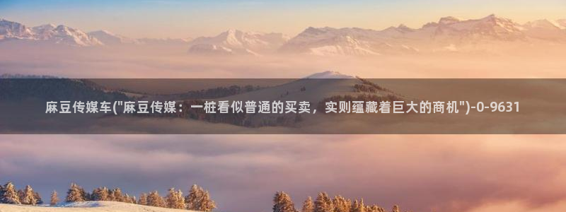 麻豆区：麻豆传媒车(\