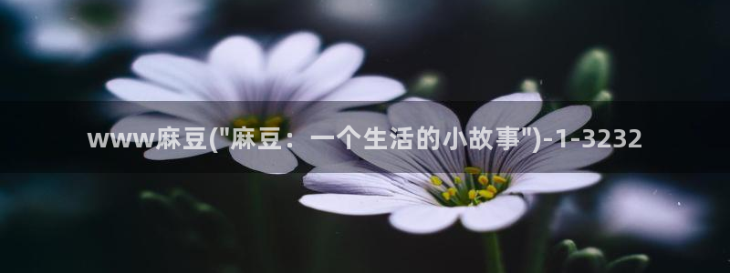 麻豆国产av专区