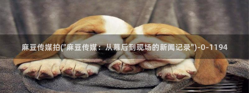 麻豆专区免费：麻豆传媒拍(\