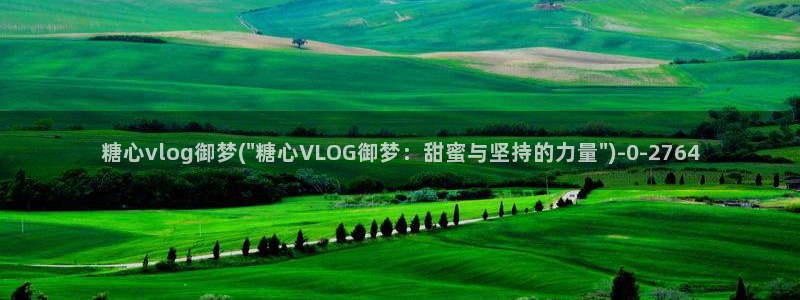 糖心vlog破解版免登录