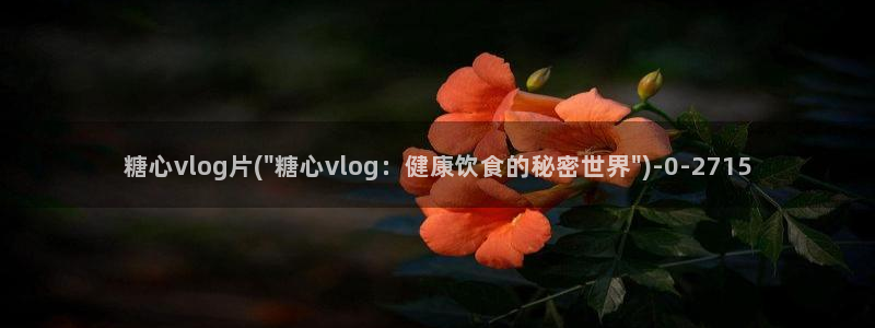 糖心vlog 网站