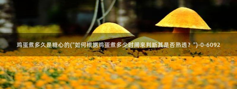 糖心vlog在线官网