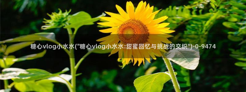 糖心vlog下载导航