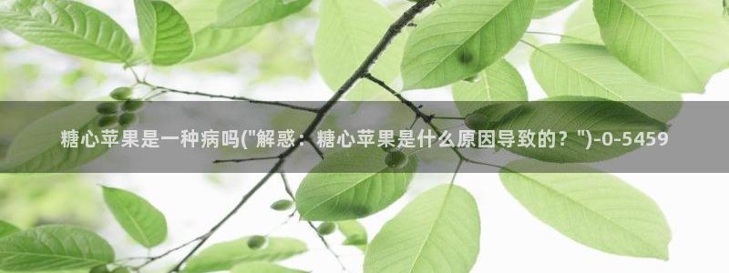 糖心vlog破解免费苹果