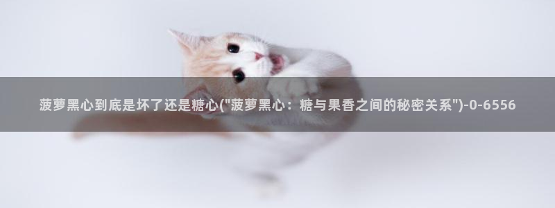 糖心短视频vlog下载