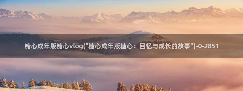 糖心vlog不见星空